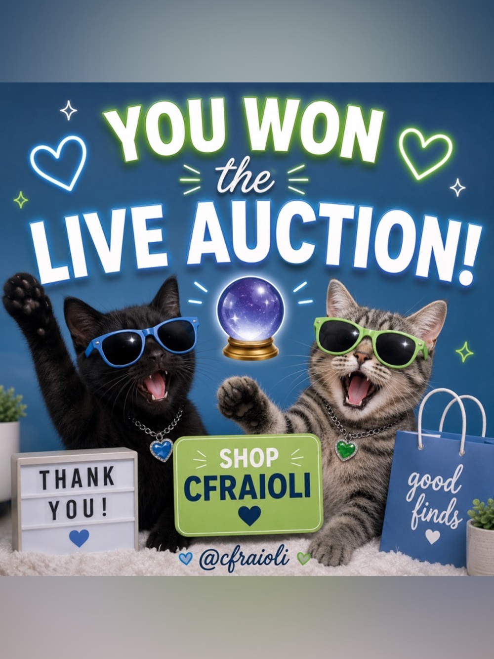 You won the live auction!